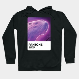 Capyrunner Pantone swatch Hoodie